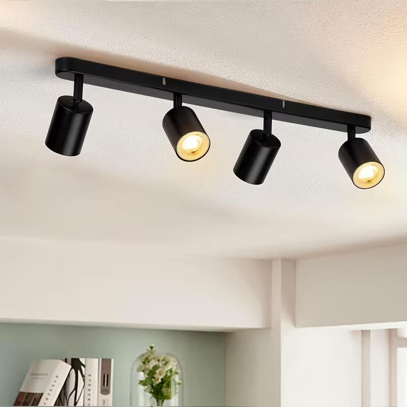 LED Ceiling Light with 4 Bulbs